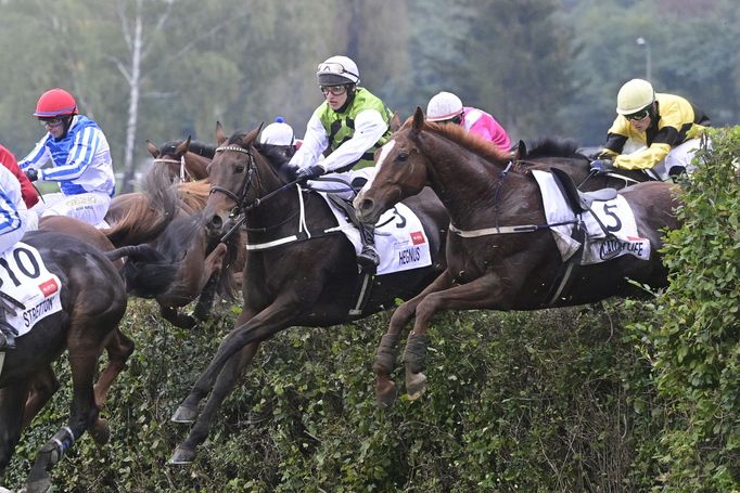 Velká pardubická 2020, Lukáš Matuský a Hegnus.