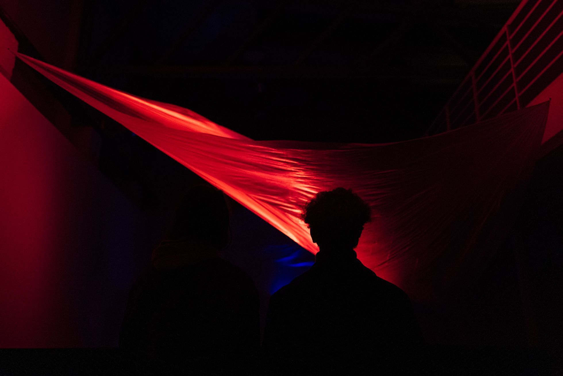 Signal festival 2021