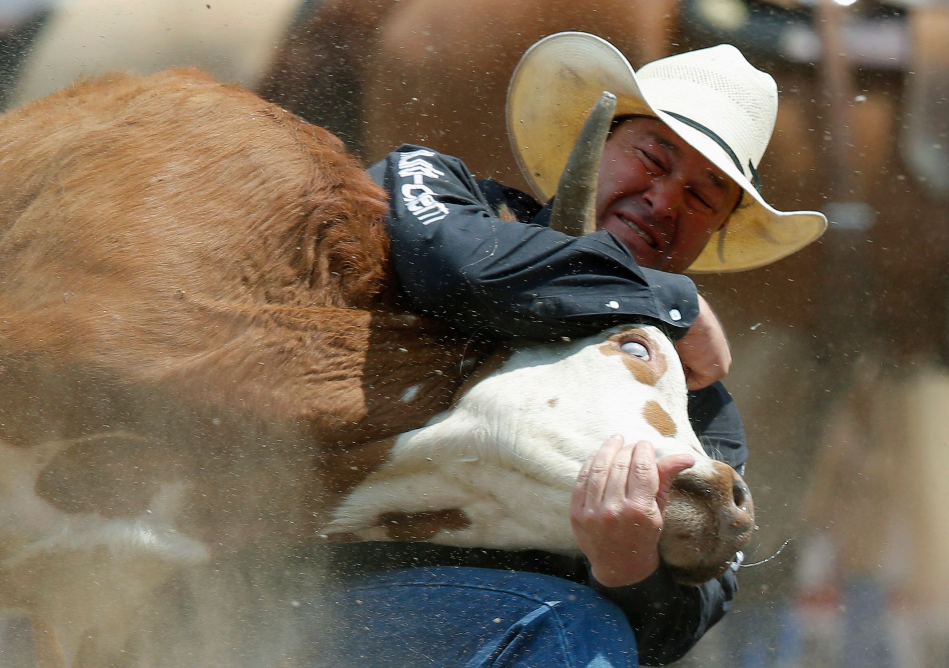 Rodeo v Calgary