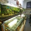 Věznice Bory v Plzni - otevírání nových cel a prohlídka komplexu