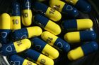 ČSÚ: Lidé doplácejí víc za 14 nejběžnějších léků