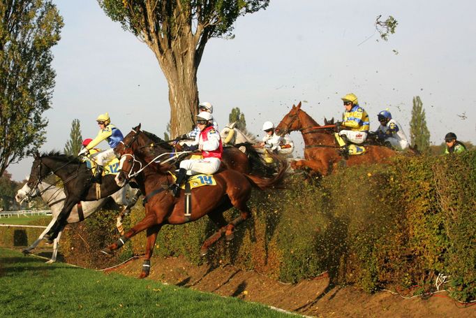 Velká Pardubice 2015: Taxisův příkop