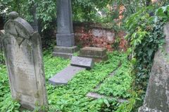 Vandalové povalili náhrobky na židovském hřbitově