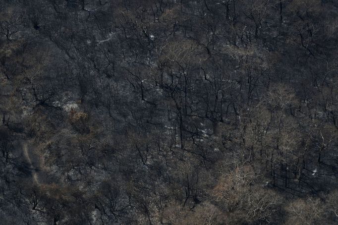 V Brazílii hoří největší mokřad světa Pantanal.