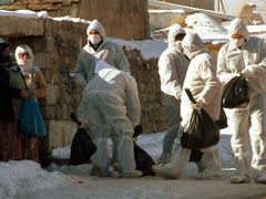 Veterináři ve východotureckém městě Erzurum odnášejí z domácností drůbež poté, co zde na ptačí chřipku zemřel již druhý člověk. Je to první případ mimo Jihovýchodní Asii a Čínu, kdy byla tato choroba zaznamenána u člověka.