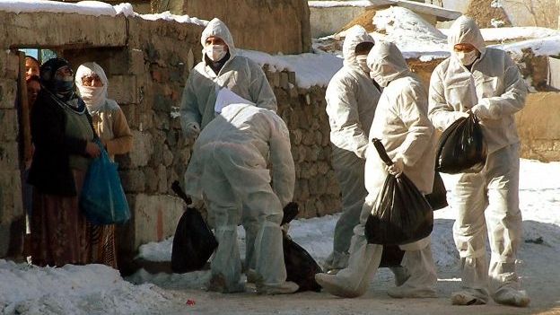 Veterináři ve východotureckém městě Erzurum odnášejí z domácností drůbež.