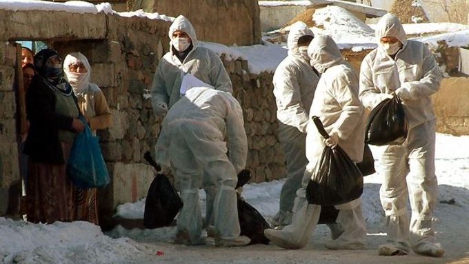 Veterináři ve východotureckém městě Erzurum odnášejí z domácností drůbež poté, co zde na ptačí chřipku zemřel již druhý člověk. Je to první případ mimo Jihovýchodní Asii a Čínu, kdy byla tato choroba zaznamenána u člověka.