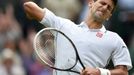 Wimbledon 2014: Štěpánek - Djokovič