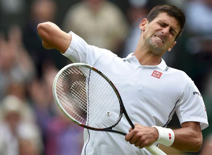 Wimbledon 2014: Štěpánek - Djokovič