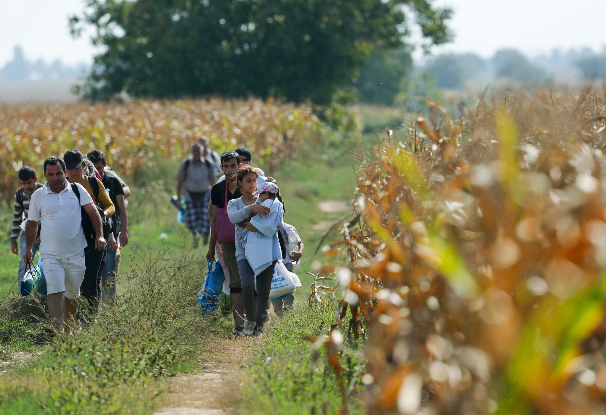 Uprchlíci přicházejí do Chorvatska mezi lány kukuřice.