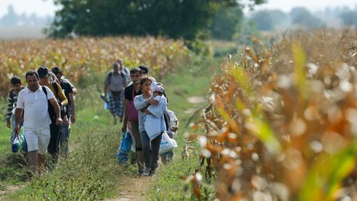 Uprchlíci přicházejí do Chorvatska mezi lány kukuřice.
