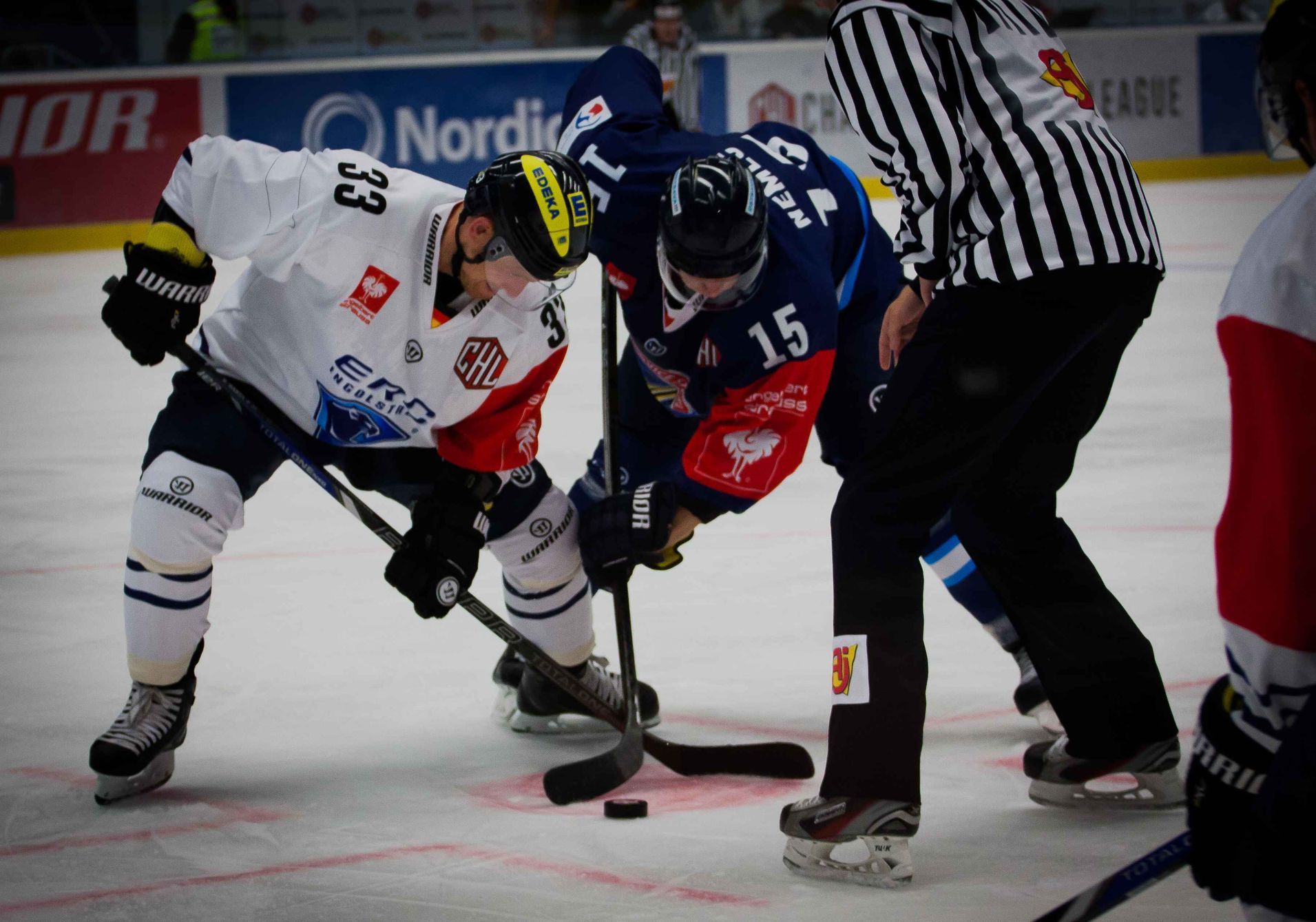 Vítkovice vs. Ingolstadt (hokejová Liga mistrů)