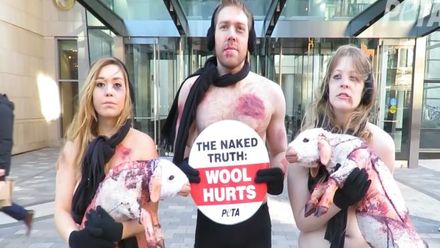 Aktivisté se v mrazu svlékli donaha kvůli zvířatům. Vadí jim původ vlny