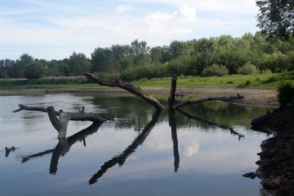 Řeka Morava u Strážnice