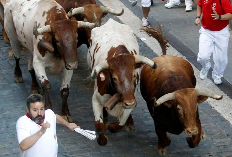 Běh s býky - španělská Pamplona