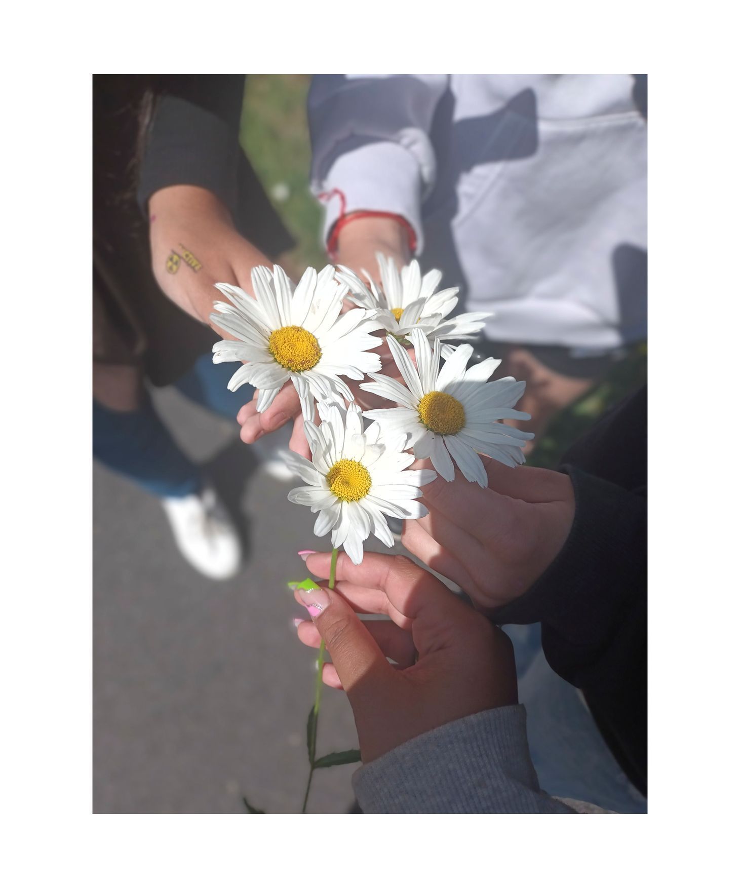 Šluknovsko, výstava, 400 ASA