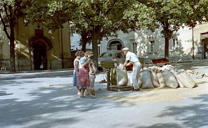 Vážení pytlů s obilím. Záběr z města Lučenec v Banskobystrickém kraji. Rok 1961