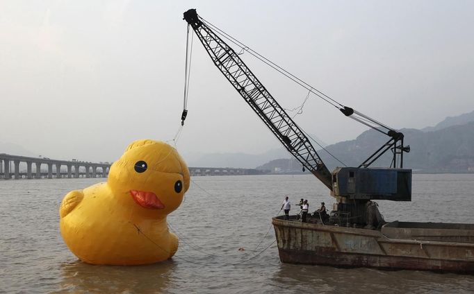 REFILE - CLARIFYING CAPTION WITH ADDITIONAL INFORMATION People set up a giant 15-meter-high inflatable rubber duck in a river in Wenzhou, Zhejiang province July 1, 2013. At least ten replicas of Dutch conceptual artist Florentijn Hofman's creation titled "Rubber Duck", have appeared all over China after the artist displayed his inflatable installation in Hong Kong last month, according to local media. Picture taken July 1, 2013. REUTERS/Stringer (CHINA - Tags: SOCIETY) CHINA OUT. NO COMMERCIAL OR EDITORIAL SALES IN CHINA Published: Čec. 2, 2013, 7:33 dop.