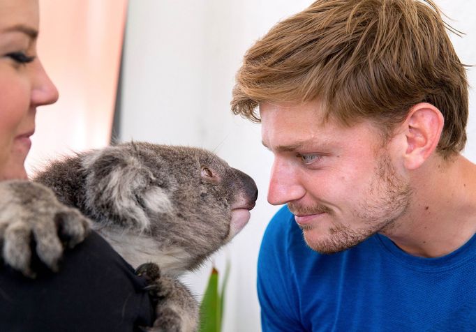 David Goffin a koala při Australian Open