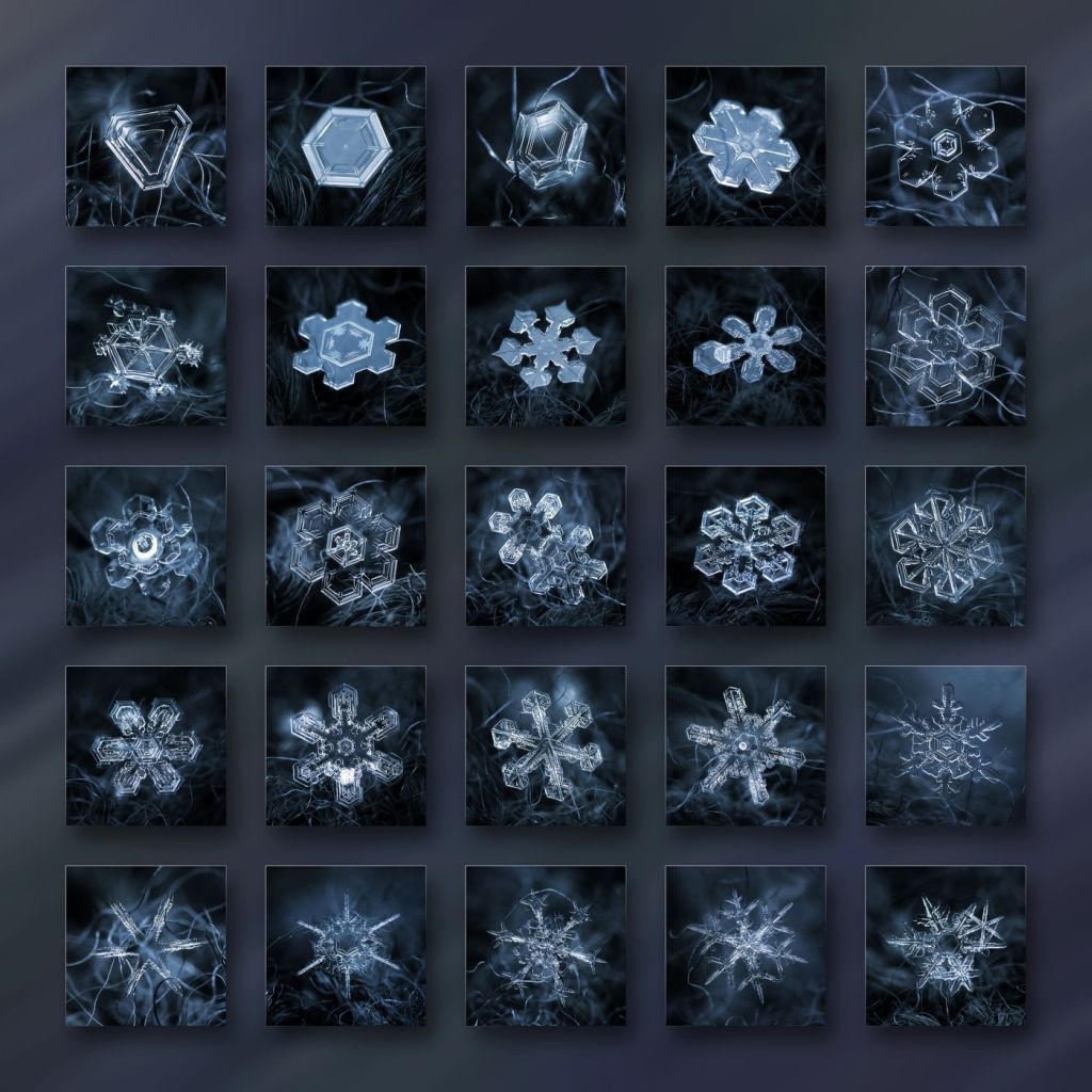 Makro snímky sněhových vloček