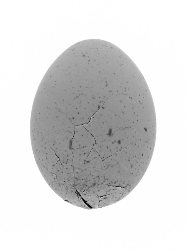 Sony World Photography Awards 2025