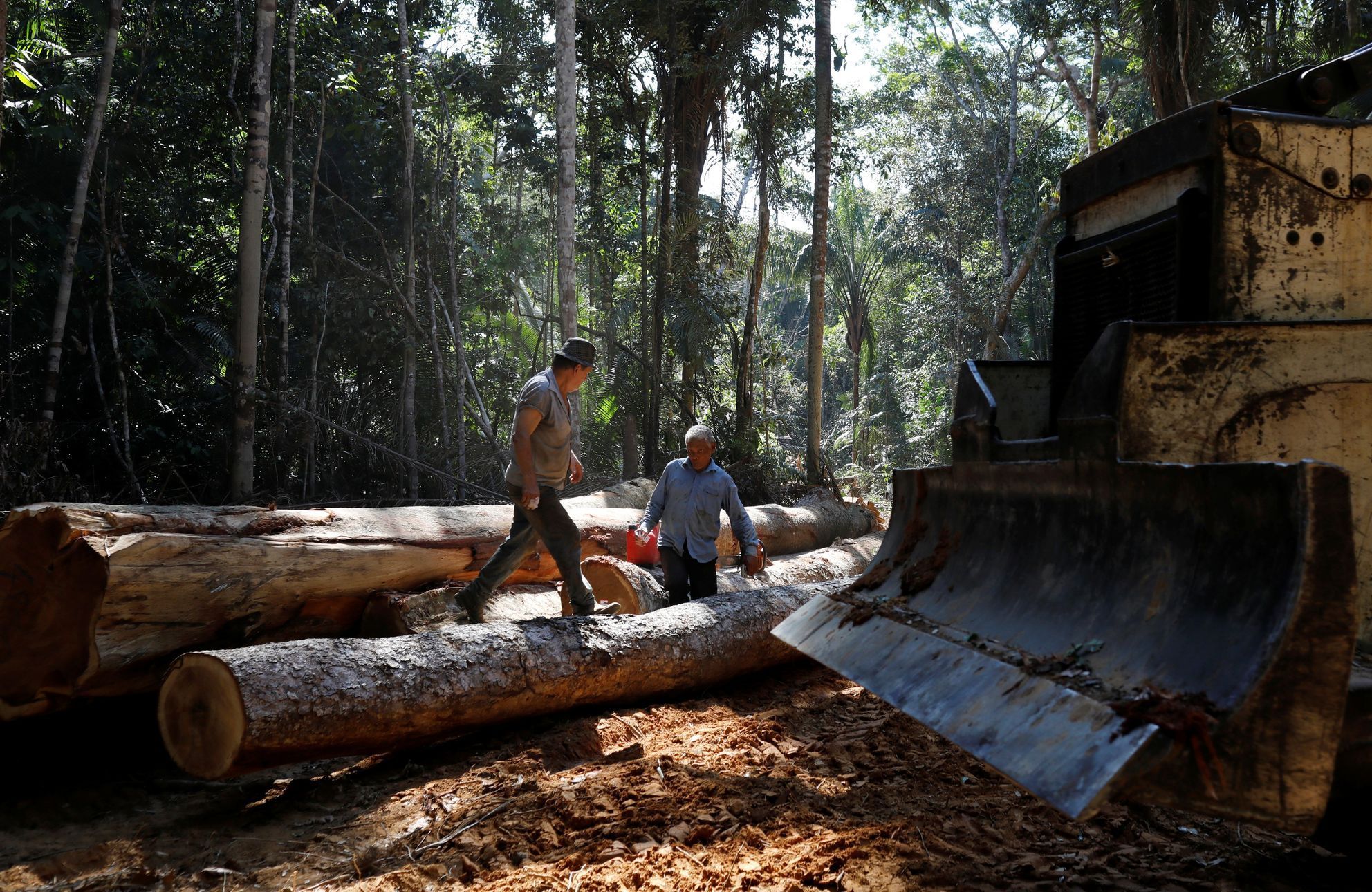 Dálnice BR-319 vede amazonským pralesem. Kolem ní se kácí a ničí džungle.