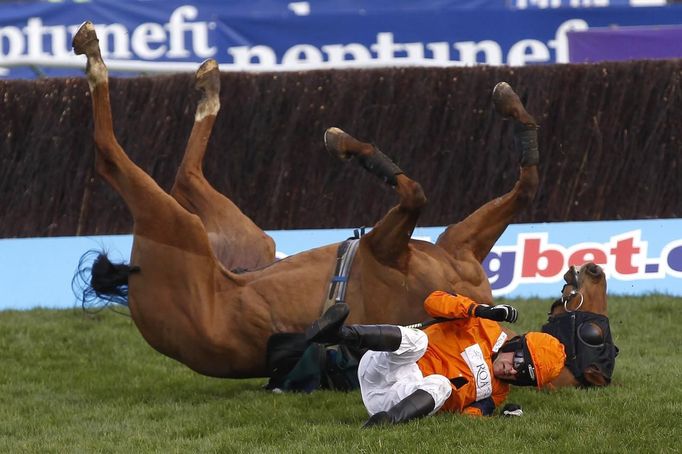 Court Red Handed falls, unseating jockey Ennis during the Diamond Jubilee National Hunt Steeple Chase at the Cheltenham Festival horse racing meet in Gloucestershire, western England March 14, 2012.