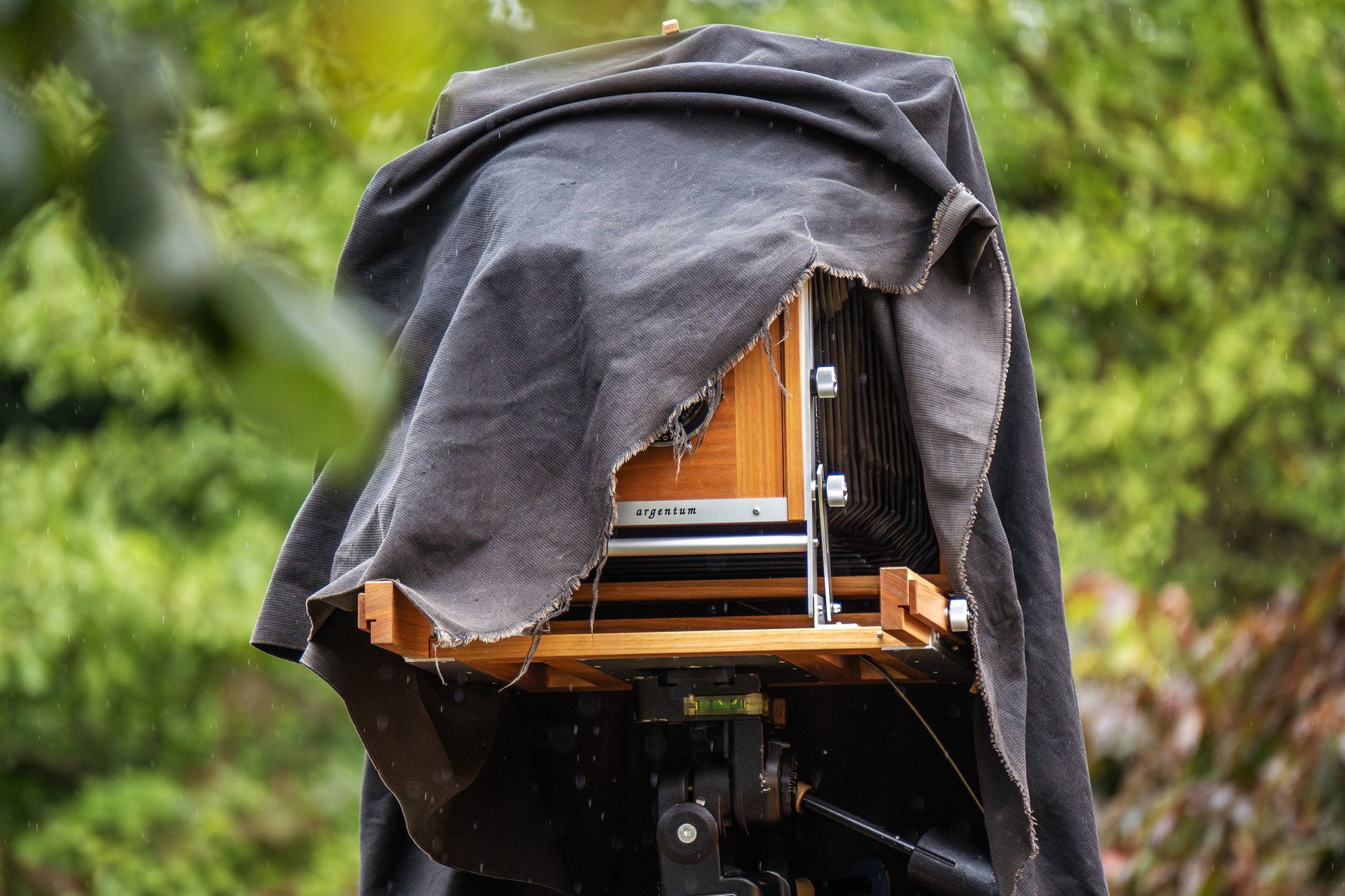 Roman Franc fotí skupinový portrét, Náměšť nad Oslavou, 5. října 2024