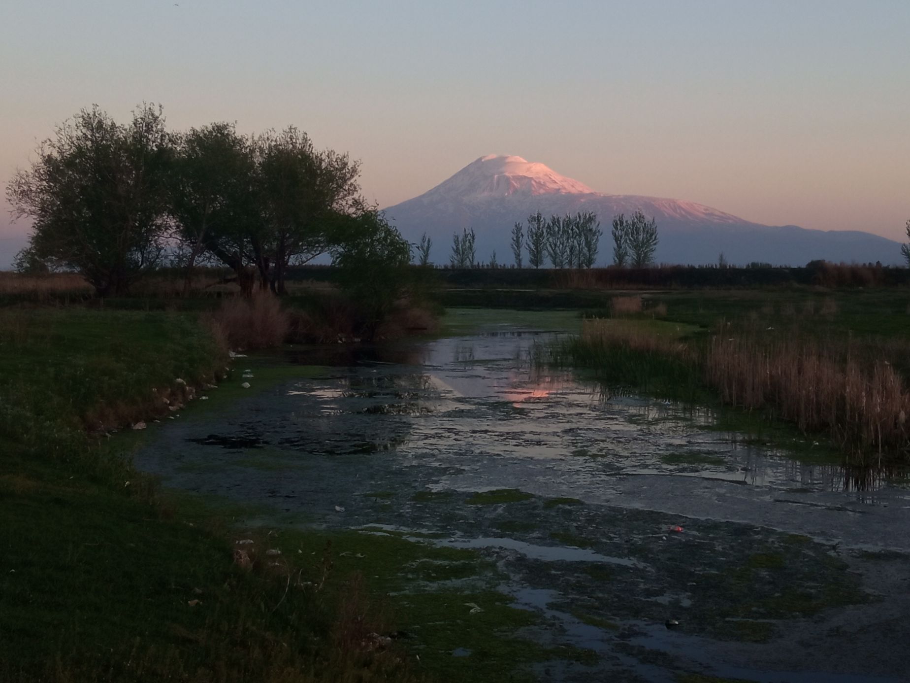 Mokřady nedaleko města Metsamor s majestátní horou Ararat.