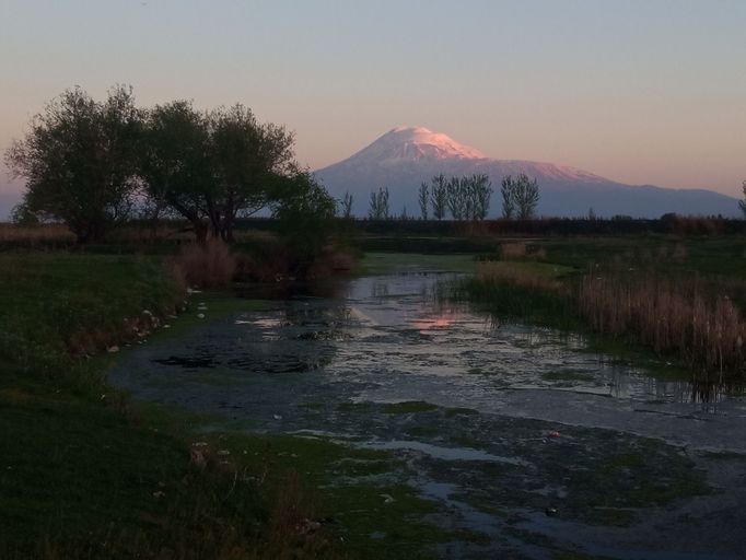 Mokřady nedaleko města Metsamor s majestátní horou Ararat.