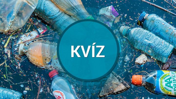 Kdy vznikla první igelitka a kolik tun plastů končí v moři? Otestujte se v kvízu; Zdroj foto: Aktuálně.cz