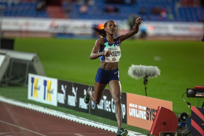 Zlatá tretra 2020: Faith Kipyegonová v závodě na 1500 metrů.