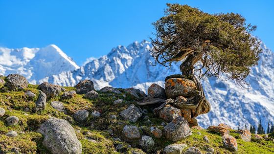 Kyrgyzstán nabízí spousty neokoukaných scenerií.