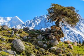 Kyrgyzstán? Tak nějak asi vypadaly Alpy bez turistů před 200 lety, říká fotograf
