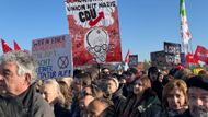 Německo demonstrace AFD