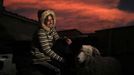 Gladys Tejeda, the first Peruvian athlete who qualified for the 2012 London Olympic Games, poses for a portrait next to a sheep at her home in the Andean province of Junin May 13, 2012. A private company will take her mother Marcelina Pucuhuaranga, 69, to London as part of the "Thank you Mom" program. For Pucuhuaranga, who received her first passport, it will be the first time travelling out of Peru. The program will take about 120 mothers of different athletes around the world to attend the games. Tejeda, the youngest of nine children, returned to her hometown to visit her mother and to focus on training where she will run more than 20 km every day in the highlands (over 4,105 meters above sea level). Picture taken May 13, 2012. REUTERS/Pilar Olivares (PERU - Tags: SPORT ATHLETICS OLYMPICS ANIMALS) Published: Kvě. 17, 2012, 4:47 odp.