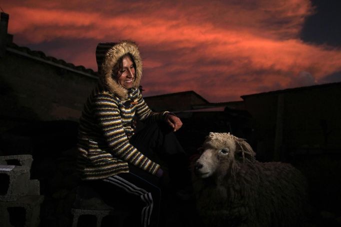 Gladys Tejeda, the first Peruvian athlete who qualified for the 2012 London Olympic Games, poses for a portrait next to a sheep at her home in the Andean province of Junin May 13, 2012. A private company will take her mother Marcelina Pucuhuaranga, 69, to London as part of the "Thank you Mom" program. For Pucuhuaranga, who received her first passport, it will be the first time travelling out of Peru. The program will take about 120 mothers of different athletes around the world to attend the games. Tejeda, the youngest of nine children, returned to her hometown to visit her mother and to focus on training where she will run more than 20 km every day in the highlands (over 4,105 meters above sea level). Picture taken May 13, 2012. REUTERS/Pilar Olivares (PERU - Tags: SPORT ATHLETICS OLYMPICS ANIMALS) Published: Kvě. 17, 2012, 4:47 odp.