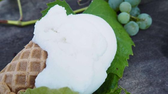 Zmrzlina z vína. Metodou pokus-omyl vyladili originální pochoutku k dokonalosti