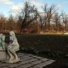 Stromovka - Cesta za poznáním