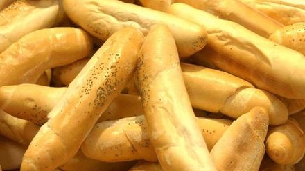 Curylo: Jsou mezi námi lidi, kteří neumí ani napočítat rohlíky. Není odvaha sociální problémy řešit