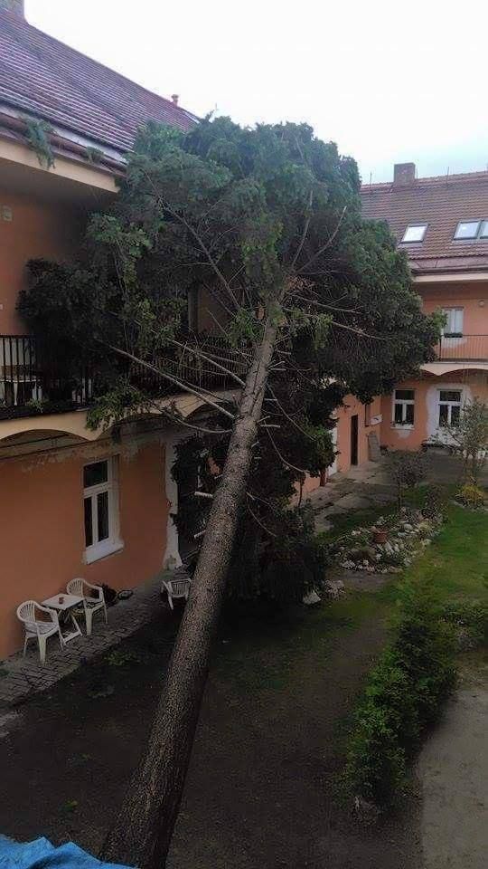 Sněžení - čtenářské foto - rodný dům Karla Hašlera