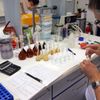 Laboratoře Státní zemědělské a potravinářské inspekce