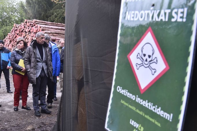 Premiér Andrej Babiš a ministryně financí Alena Schillerová si 15. května 2019 v lokalitě Bílovna nedaleko Bernartic prohlédli lesy zasažené kůrovcem.