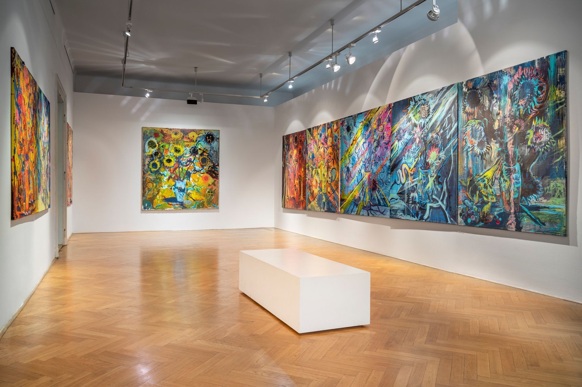 Martin Salajka: Mimikry