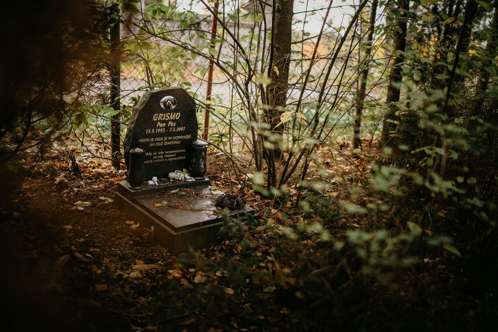 hřbitov Bohnice hřbitov bláznů