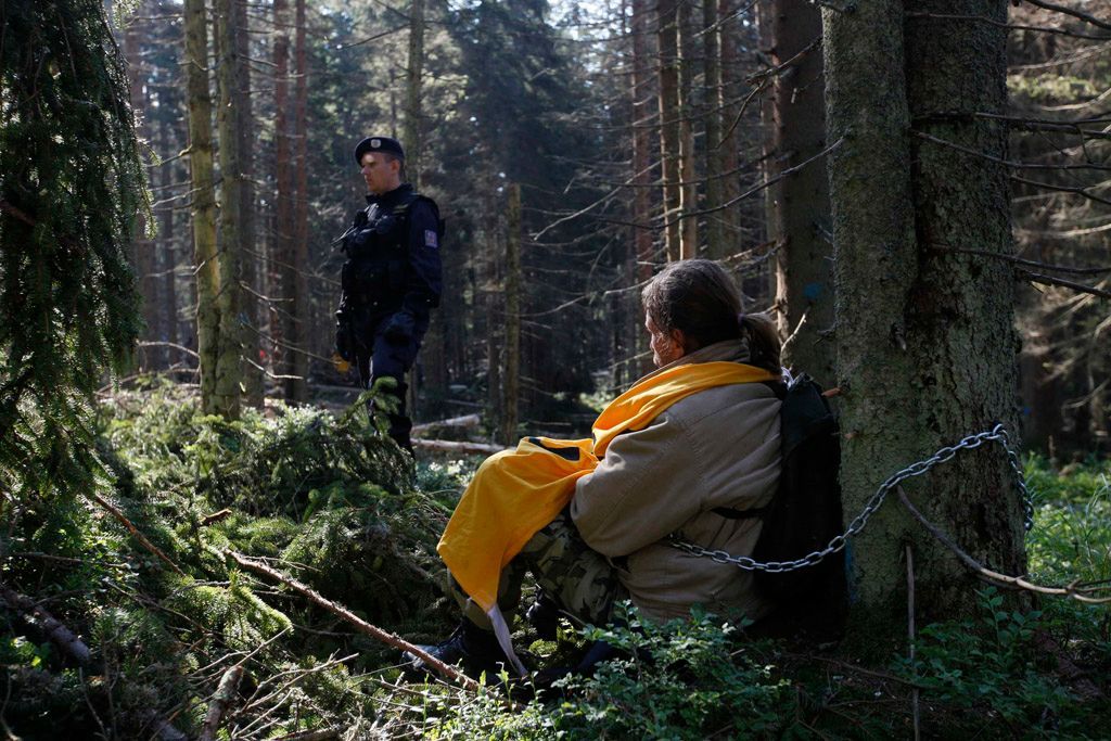 Tyto fotky boje o stromy Šumavy obletěly svět