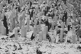 Odnést zemřelé k poslednímu odpočinku na tradiční hřbitovy bylo v obleženém Sarajevu nemožné. Nové hřbitovy - jako tento - tak vyrostly přímo v srdci města.