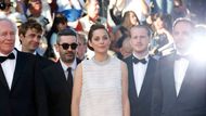 Marion Cotillard přichází na projekci filmu Dva dny, jedna noc.