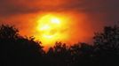 The sun illuminates through the smoke from the Waldo Canyon Fire, west of Colorado Springs June 24, 2012. The fast-growing wildfire that blew up overnight in Colorado has forced 11,000 people from their homes and was threatening popular summer camping grounds beneath Pikes Peak, billed as the most visited mountain in North America. REUTERS/Rick Wilking (UNITED STATES - Tags: DISASTER ENVIRONMENT) Published: Čer. 25, 2012, 2:49 dop.