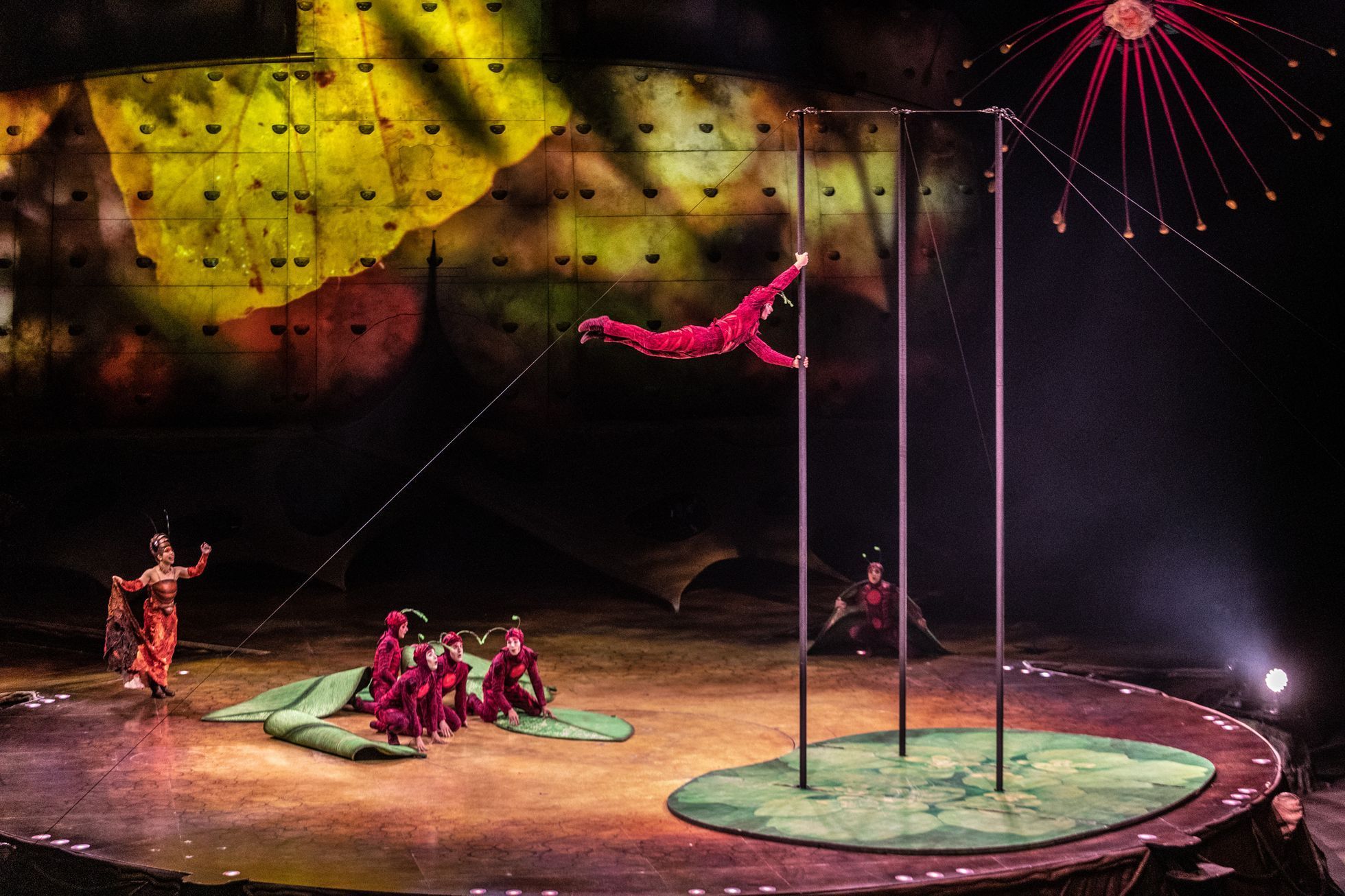 Cirque du Soleil: Ovo, 2023, O2 arena